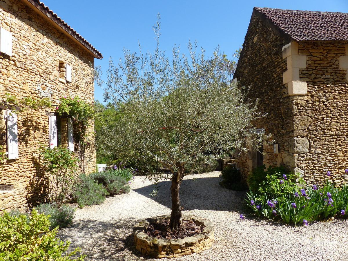 Chambres D'Hotes Les Boudines Saint-Germain-de-Belves Luaran gambar